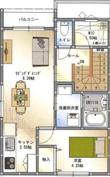 アヴニール新宮の物件間取画像